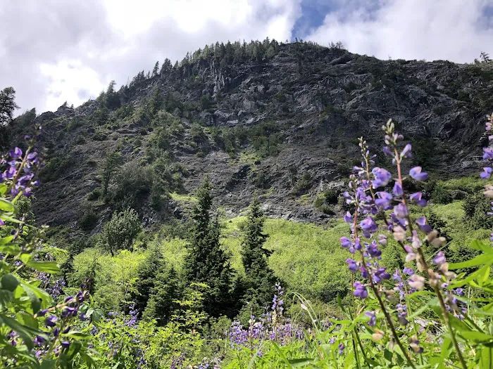 Honeymoon Meadows Picture 6
