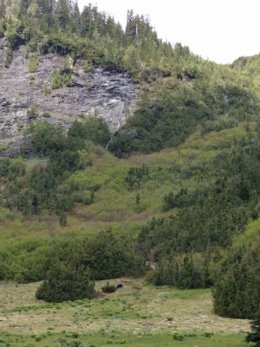 Honeymoon Meadows Picture 1