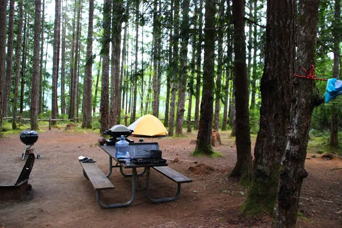 Skokomish Park at Lake Cushman Picture 4