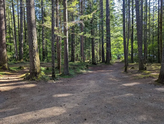 Skokomish Park at Lake Cushman Picture 2
