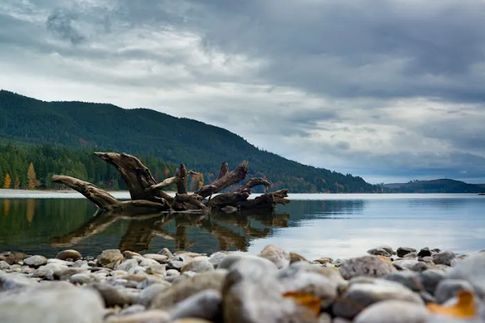 Skokomish Park at Lake Cushman Picture 6