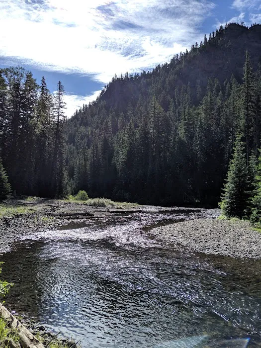 Salmon Cove Group Site Picture 7