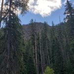 Salmon Cove Group Site