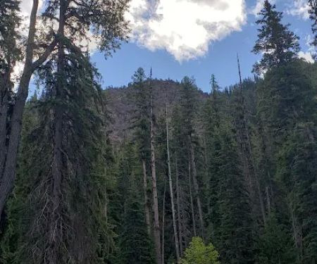 Salmon Cove Group Site