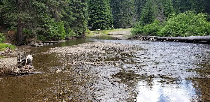 Salmon Cove Group Site Picture 2