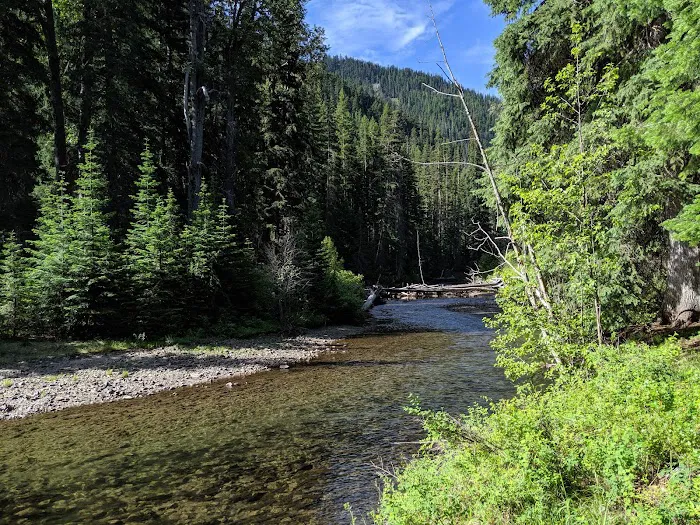 Salmon Cove Group Site Picture 5