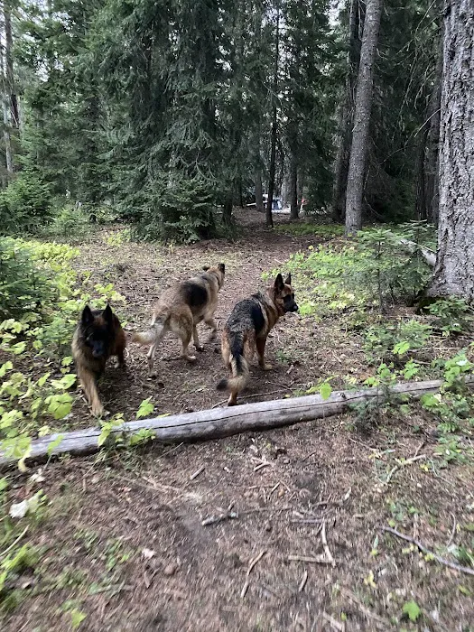Cougar Flat Campground Picture 8