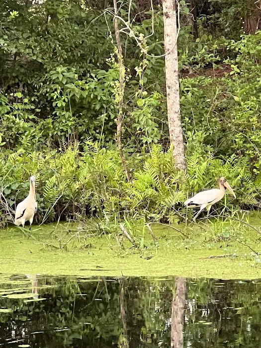 Pebble Hill RV Resort Picture 6