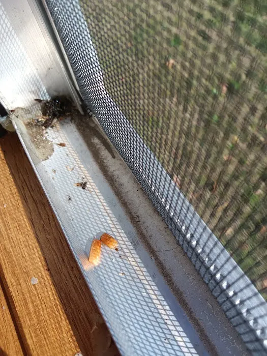 Quarter Oak Communities Picture 1