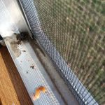 Quarter Oak Communities