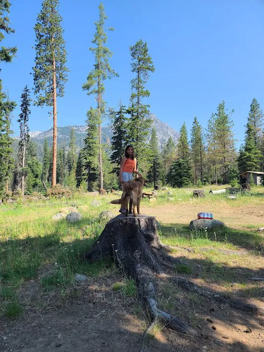 De Roux Campground Picture 3