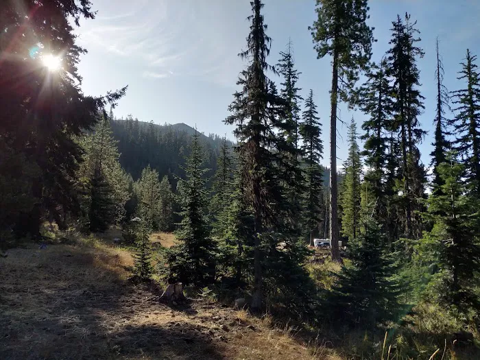 De Roux Campground Picture 4