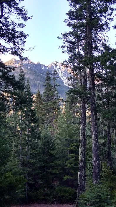 Blackpine horse camp Picture 4