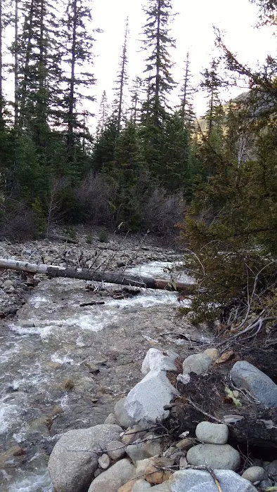 Blackpine horse camp Picture 5