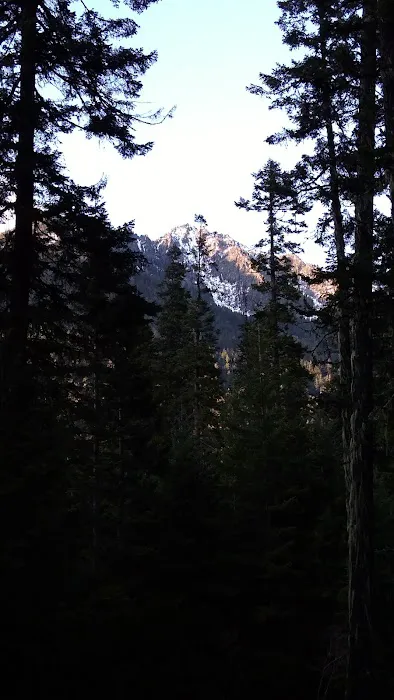 Blackpine horse camp Picture 1