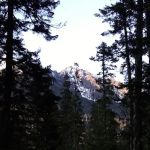 Blackpine horse camp