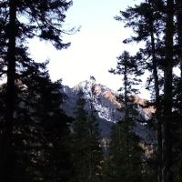Blackpine horse camp ico