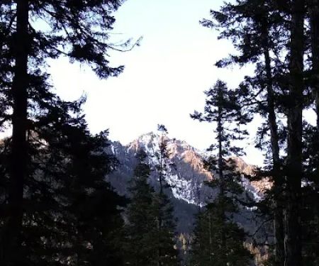 Blackpine horse camp