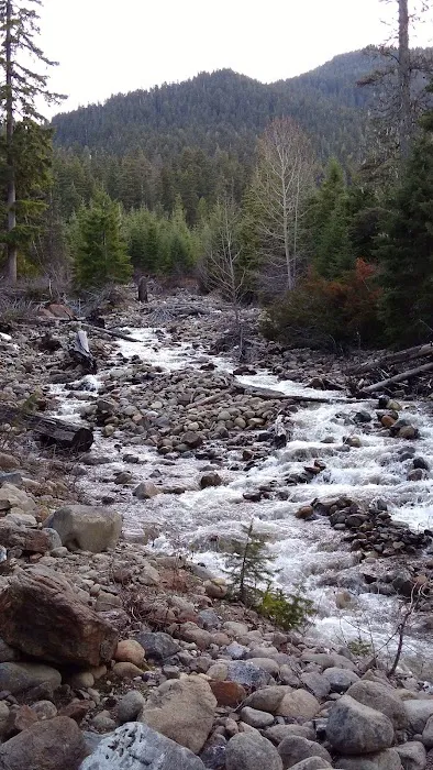 Blackpine horse camp Picture 7
