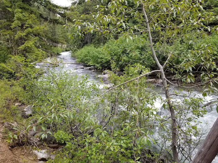 French Creek Campground Picture 2