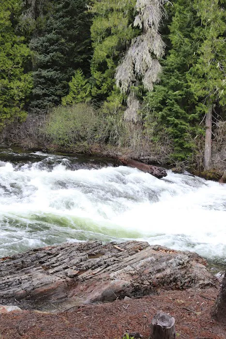 French Creek Campground Picture 3