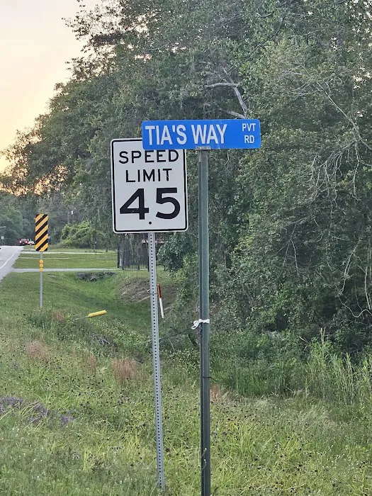 Hollis Smith RV Park Picture 4