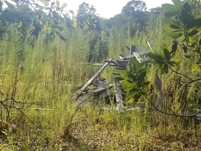 Sam Miness Rentals Picture 4