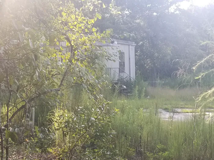 Sam Miness Rentals Picture 5