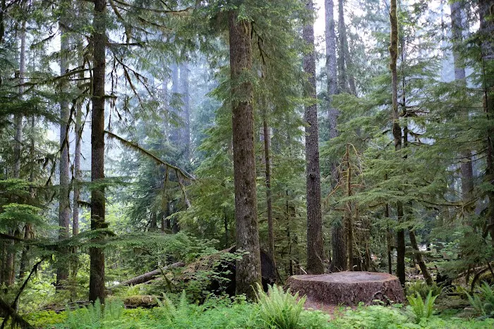 Staircase Campground Picture 10