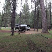 Long Meadow ico