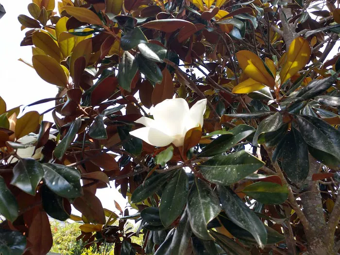 Happy Acres / Happy Campers / Happy Inn & Suites Picture 9