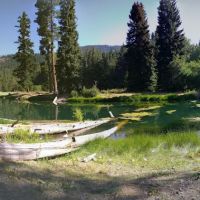 Longmire Meadow ico