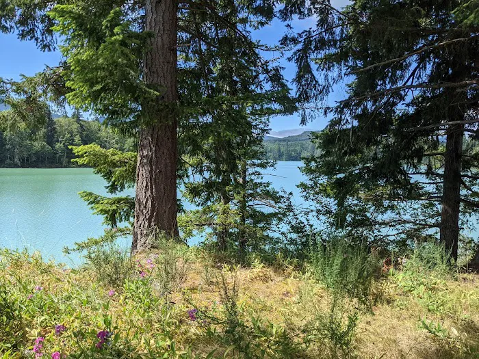 Elk Plain Campground Picture 5