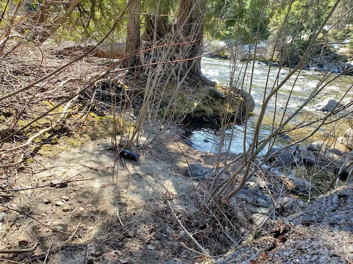 Lower Johnny Creek Campground Picture 4