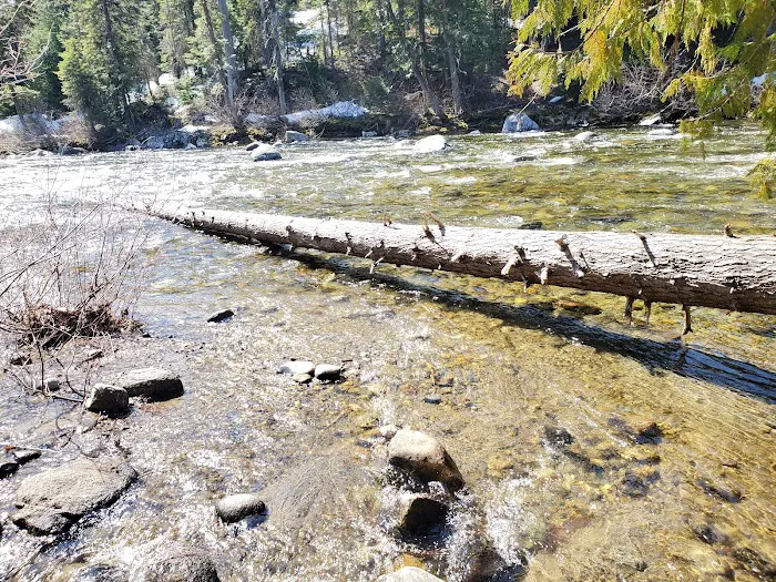 Lower Johnny Creek Campground Picture 2