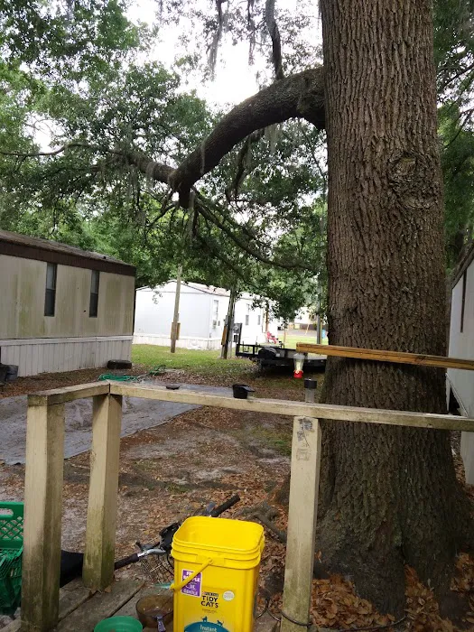 Livingston Properties Picture 2