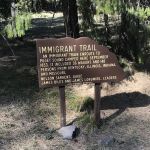 Little Naches Campground