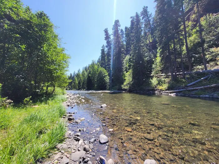 Little Naches Campground Picture 3