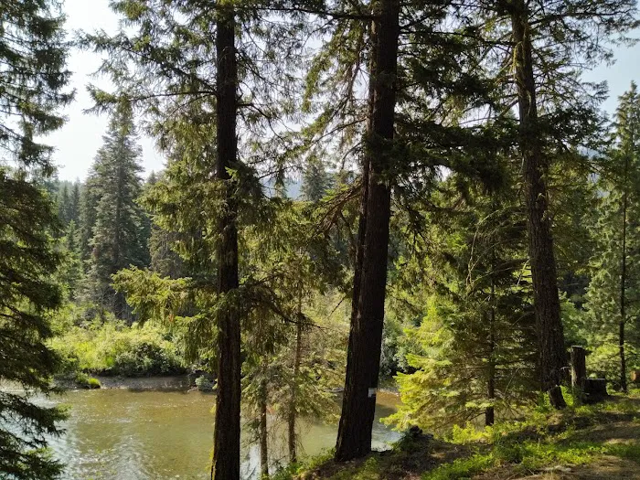 Clear Lake Campground North Picture 6