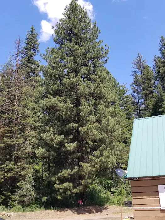 Mineral Springs Group Campground Picture 7