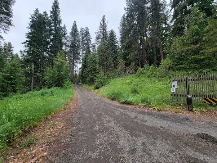 Mineral Springs Group Campground Picture 10