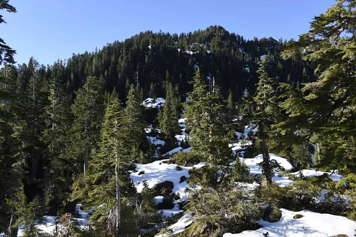 Moonshine Flats Picture 3
