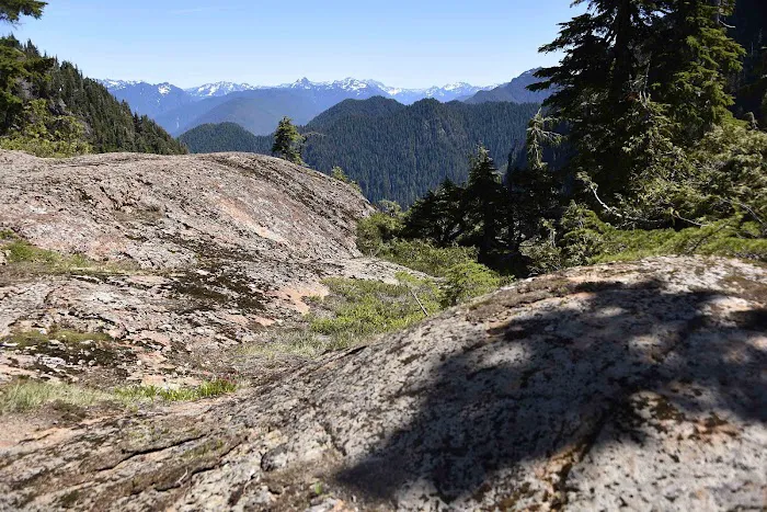 Moonshine Flats Picture 2