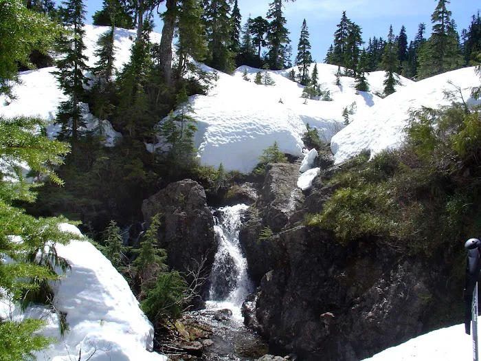 Moonshine Flats Picture 4
