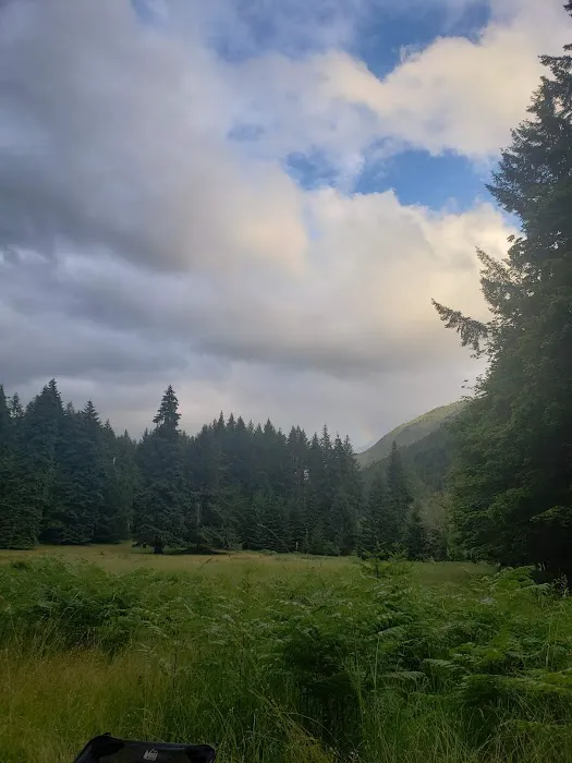 Humes Ranch Picture 2