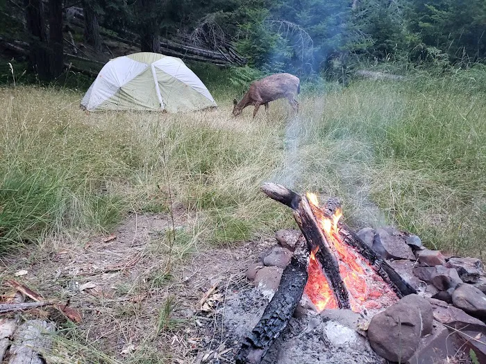 Humes Ranch Picture 6