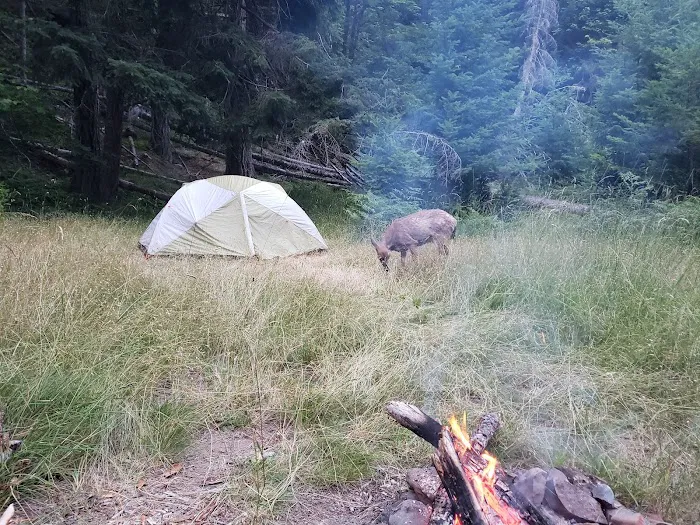 Humes Ranch Picture 8