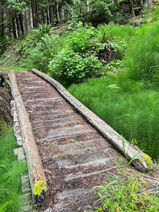 Humes Ranch Picture 7