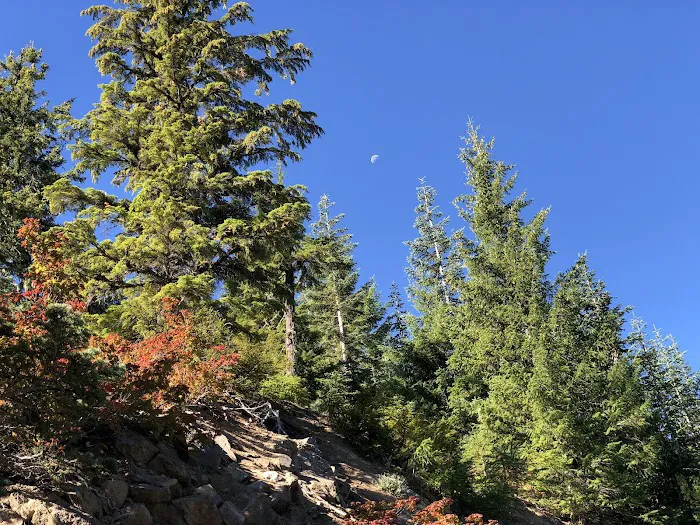 Campground: Cat Creek Picture 5