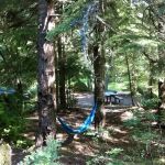 Campground: Cat Creek